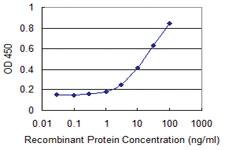 Anti-ZNHIT2 Mouse Monoclonal Antibody [clone: 4G11]