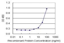 Anti-B2M Mouse Monoclonal Antibody (Biotin)