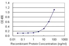 Anti-CDKN2D Polyclonal Antibody Pair