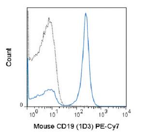 Anti-CD19 Rat Monoclonal Antibody (PE (Phycoerythrin)/Cy7®) [clone: 1D3]