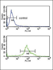 Anti-HSD17B3 Rabbit Polyclonal Antibody (Biotin)