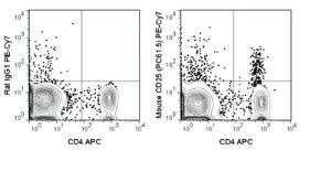 Anti-IL2RA Rat Monoclonal Antibody (PE (Phycoerythrin)/Cy7®) [clone: PC61.5]