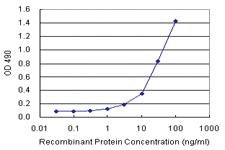 Anti-CD33 Polyclonal Antibody Pair