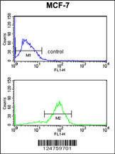 Anti-ANO7 Rabbit Polyclonal Antibody (PE (Phycoerythrin))