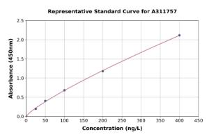 Representative standard curve for Human SYT16 ELISA kit (A311757)