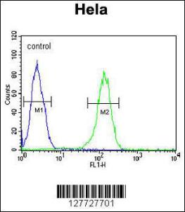 Anti-TMEM214 Rabbit Polyclonal Antibody