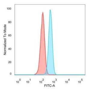 Anti-ETS2 antibody