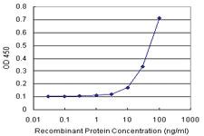 Anti-LCK Antibody Pair