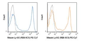 Anti-Ly-6G Rat Monoclonal Antibody (PE (Phycoerythrin)/Cy7®) [clone: RB6-8C5]