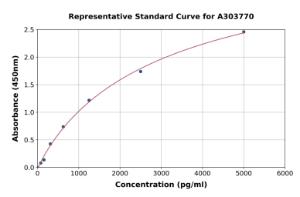 Representative standard curve for Rat HIF-2 alpha ELISA kit (A303770)