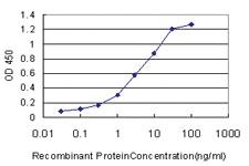 Anti-MGAT4A Mouse Monoclonal Antibody [clone: 4H4]