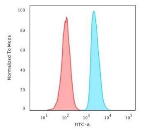 Antibody A248871-100 100 µg