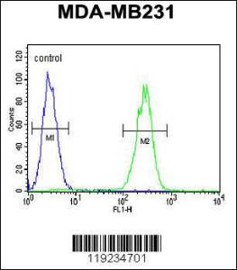 Anti-CRHR2 Rabbit Polyclonal Antibody (APC (Allophycocyanin))