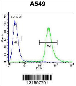 Anti-HSP90B1 Rabbit Polyclonal Antibody (Biotin)