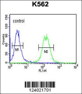 Anti-GALR1 Rabbit Polyclonal Antibody (FITC (Fluorescein Isothiocyanate))