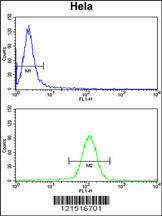 Anti-UHRF1 Rabbit Polyclonal Antibody (FITC (Fluorescein))