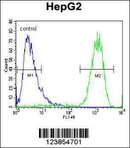 Anti-ATP5H Rabbit Polyclonal Antibody