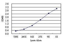 Anti-SIGLEC6 Antibody Pair