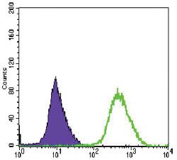 Anti-MAP2K6 Mouse Monoclonal Antibody [clone: 3H12C8]