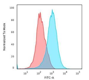 Anti-CD31 antibody