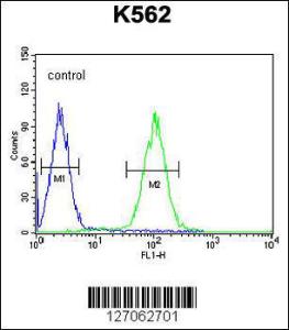 Anti-ZNF169 Rabbit Polyclonal Antibody