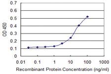 Anti-PHLDA2 Mouse Monoclonal Antibody [clone: 5E3]