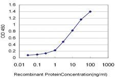 Anti-TSSK3 Mouse Monoclonal Antibody [clone: 3G8]