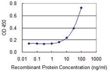 Anti-MYLPF Mouse Monoclonal Antibody [clone: 3H3]