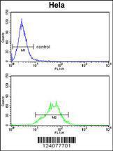 Anti-LDHA Rabbit Polyclonal Antibody (APC (Allophycocyanin))