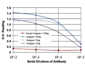 Anti-MAP3K2 Mouse Monoclonal Antibody [clone: 4B4]