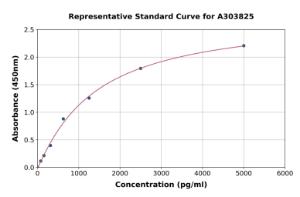 Representative standard curve for Rat JAK2 ELISA kit (A303825)