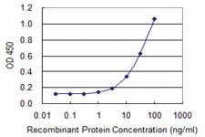 Anti-FOXQ1 Mouse Monoclonal Antibody [clone: 3E3]