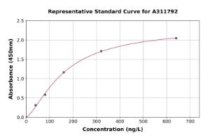 Representative standard curve for Mouse beta 2 Defensin / BD-2 ELISA kit (A311792)