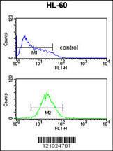 Anti-TNFRSF14 Rabbit Polyclonal Antibody (FITC (Fluorescein Isothiocyanate))