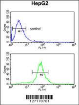 Anti-LDHD Rabbit Polyclonal Antibody (Biotin)