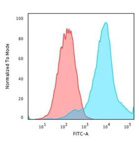 Flow cytometric analysis of PFA fixed MCF-7 cells using Anti-HSP27 Antibody [SPM252] followed by Goat Anti-Mouse IgG (CFand#174; 488) (Blue). Isotype Control (Red)