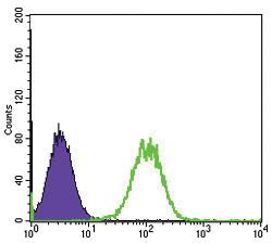 Anti-MAP3K5 Mouse Monoclonal Antibody [clone: 2E4]