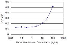 Anti-TSSK3 Mouse Monoclonal Antibody [clone: 6H4]