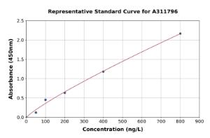 Representative standard curve for Human MURF1 ELISA kit (A311796)