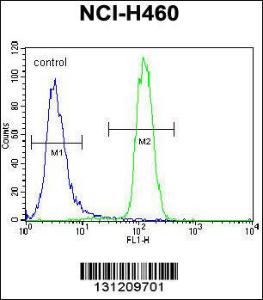 Anti-LETM2 Rabbit Polyclonal Antibody (APC (Allophycocyanin))