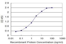 Anti-FABP6 Mouse Monoclonal Antibody [clone: 4A4]