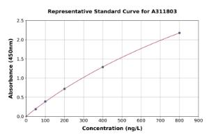 Representative standard curve for Human FGF13 ELISA kit (A311803)