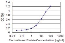 Anti-DNAJB6 Mouse Monoclonal Antibody [clone: 2D12-B9]