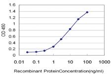 Anti-TSSK3 Mouse Monoclonal Antibody [clone: 6B2]