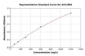 Representative standard curve for Human SHANK3 ELISA kit (A311806)