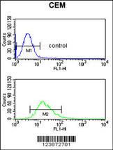 Anti-DMC1 Rabbit Polyclonal Antibody (FITC (Fluorescein Isothiocyanate))