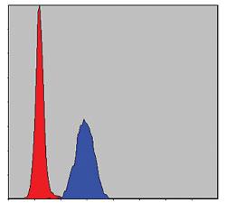 Anti-MAPK3 Mouse Monoclonal Antibody [clone: 1E5]