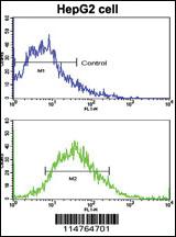 Anti-LGR5/GPR49 Rabbit Polyclonal Antibody