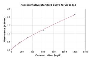 Representative standard curve for Human Raptor ELISA kit (A311816)