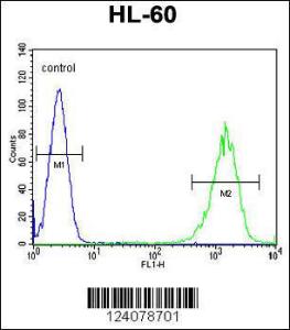 Anti-LFNG Rabbit Polyclonal Antibody (FITC (Fluorescein Isothiocyanate))